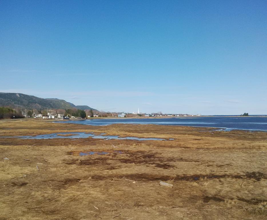 Gite Des Oiseaux Migrateurs Nouvelle 外观 照片