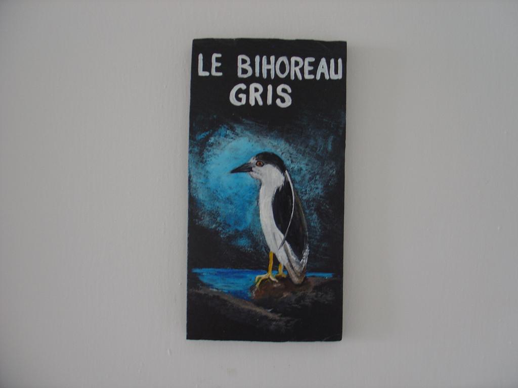 Gite Des Oiseaux Migrateurs Nouvelle 外观 照片